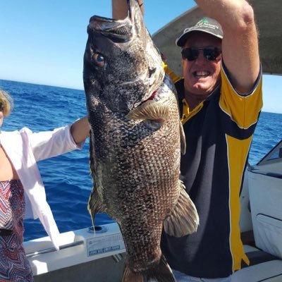 Profile Picture of Dave Gartner (@garts5) on Twitter