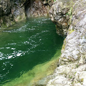 Profile Picture of Albert Tsang (@altsang1888) on Youtube