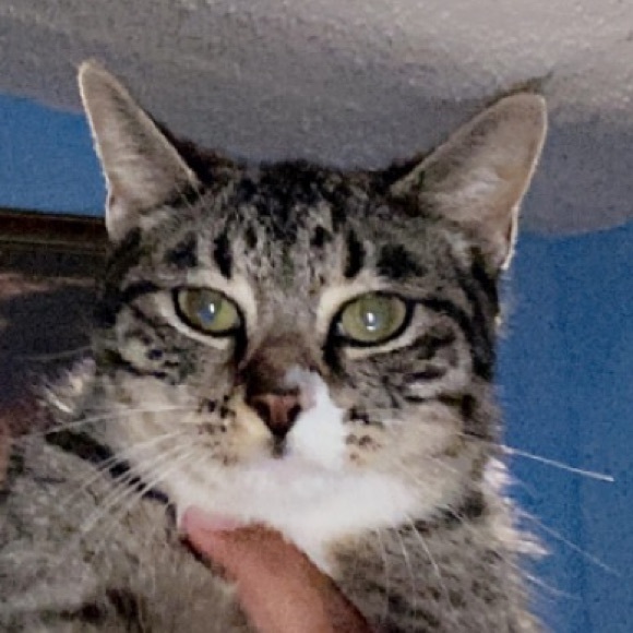 Profile Picture of Jose Manuel olvera (@wiggaman) on Poshmark