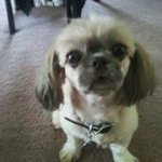 Profile Picture of Lillian Winters (@winterslillian) on Instagram