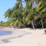 Profile Picture of Stephen Heinz (@stephen.heinz.57) on Instagram