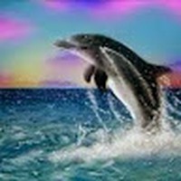 Profile Picture of Steven Lamp (@steven-lamp-4) on Quora
