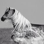 ᎬᎡᏆN ᏚᎢᏌᏟKᎬY - Instagram Profile Picture of ᎬᎡᏆN ᏚᎢᏌᏟKᎬY (@erin_stuckey_24) on Instagram