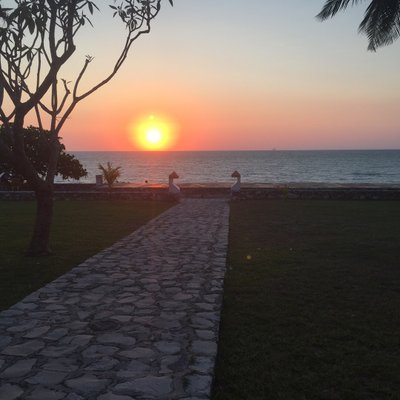 Profile Picture of Alejandro Fierros (@Alejand49436033) on Twitter