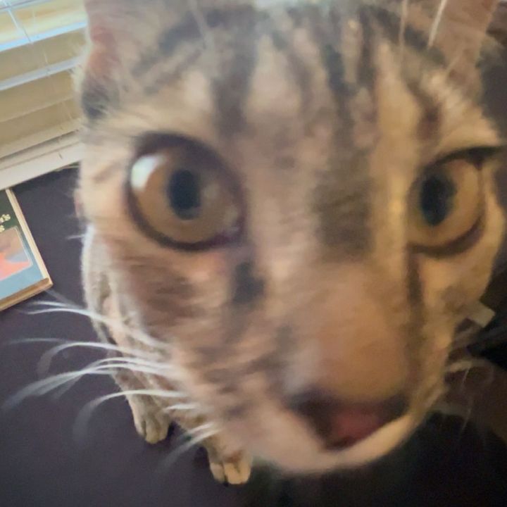 Profile Picture of jacobies (@jacobiesfps) on Tiktok