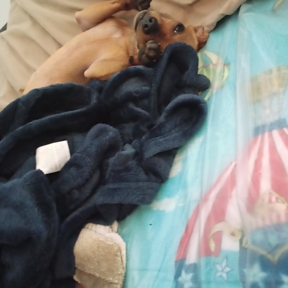 Julian Day - Poshmark Profile Picture of Julian Day (@onewayjulian) on Poshmark