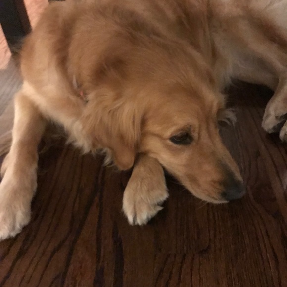 Profile Picture of Kiri Uhland (@kiriuhland) on Poshmark