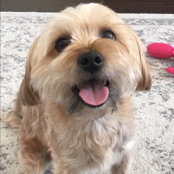 Profile Picture of Priscilla Quinn (@pcquinn) on Poshmark