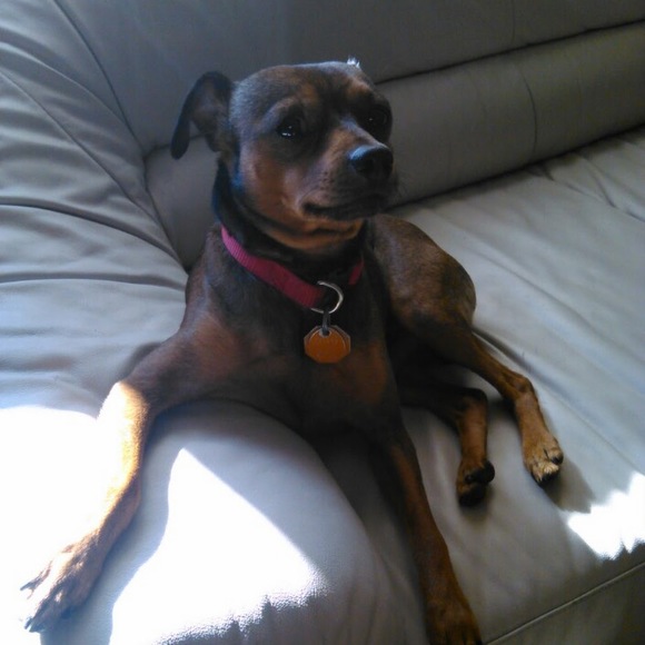 Profile Picture of Deborah Mitchell (@deborahmitch853) on Poshmark