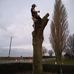 Profile Picture of Matt Low (@matt.low.167) on Facebook
