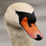 Profile Picture of Terry  Allington (@terry allington photography) on Flickr