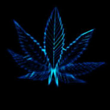 Profile Picture of Justin Venner (@@justinvenner8) on Tiktok