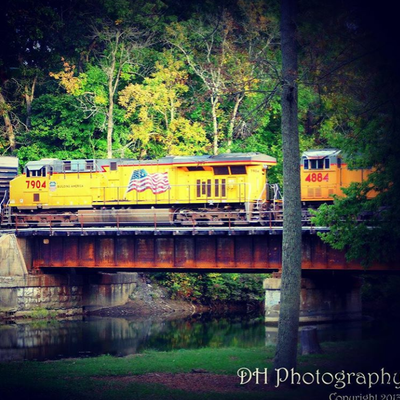 Profile Picture of Cathi Curry-Hall (@Three8sA) on Twitter