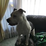 Profile Picture of Jeremy Slinker (@slinkerjeremy) on Instagram