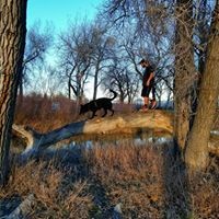 Profile Picture of Jordan Carroll (@jordan-carroll-41) on Quora