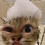 Profile Picture of Mae Fernando (@mae.fernando.923466) on Facebook