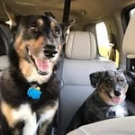 Profile Picture of Brad Arnold (@brad.arnold) on Instagram