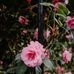 Profile Picture of Frances Alexander (@frances.alexander.501151) on Facebook