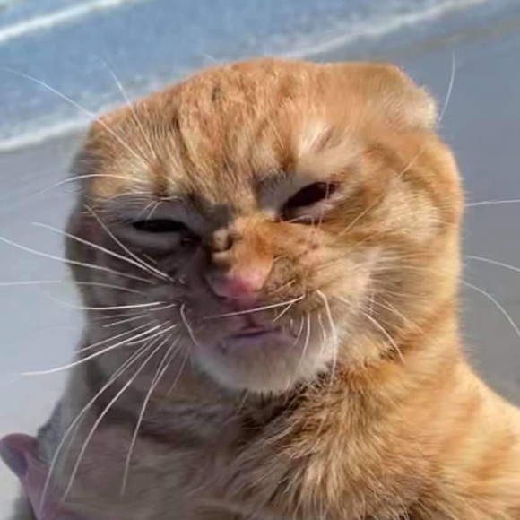 Profile Picture of Ray Danforth (@pigeon207) on Poshmark