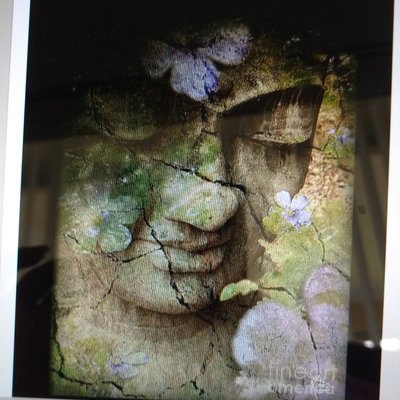 Profile Picture of Diana Dunlap (@DianaDu60245621) on Twitter