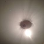 Profile Picture of David Söderlund (@david193838) on Instagram