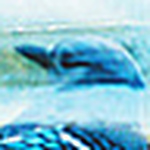 Profile Picture of Scott Harrison (@Scott Harrison) on Flickr