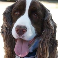 Profile Picture of Stacy Tompkins (@stacy-tompkins-3) on Quora