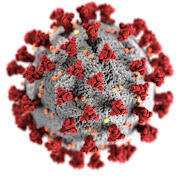 Profile Picture of Ralph Baric PhD (@Ralph_Baric_PhD_C2019) on Youtube