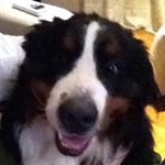 Profile Picture of jimmy_cody01 (@jimmy_cody01) on Instagram