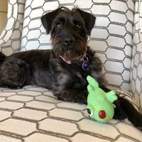 Profile Picture of Merry Schmidt (@merry-schmidt-1) on Quora