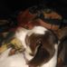Profile Picture of Lucas Tipton (@dewana.tipton.10) on Facebook