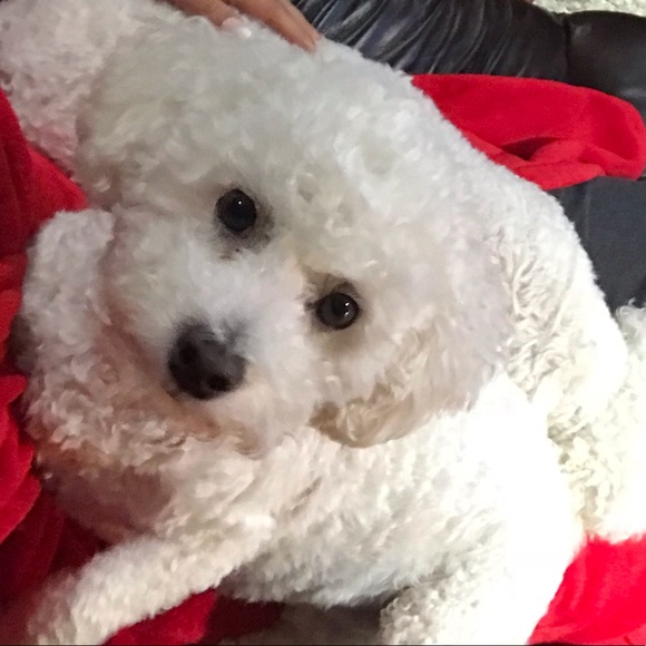 Profile Picture of ! r Jordan (@rutajordan) on Poshmark