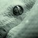 Profile Picture of Petra Gerzanics (@petra_4) on Pinterest