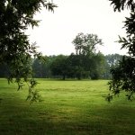 Profile Picture of Kyle Dorry (@megacatares) on Instagram