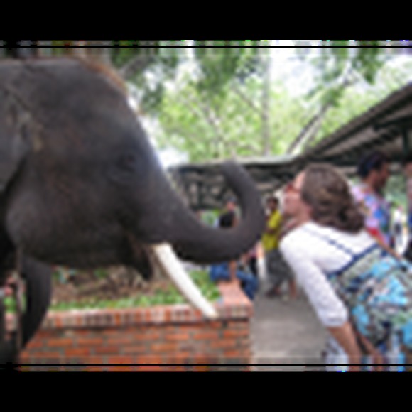 Profile Picture of Rifka c. Schmukler (@chaikrin) on Poshmark