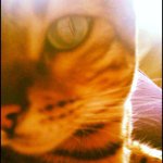 Profile Picture of clare_carey (@clare_carey) on Instagram