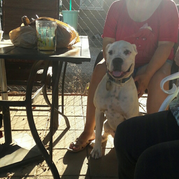 Daniel Ganczak - Poshmark Profile Picture of Daniel Ganczak (@polarbear7276) on Poshmark