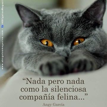 Profile Picture of Pao Carra (@Carra_andy) on Twitter