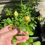 Profile Picture of Richard Bright (@Richard-Bright) on Facebook