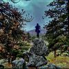 Profile Picture of Darren Stewart (@@darrenstewart37) on Tiktok