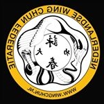 Profile Picture of Sifu David Dijkstra (@wingchunkungfu_oosterhout) on Instagram