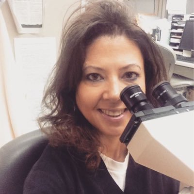 Profile Picture of Missle (@Missle) on Twitter