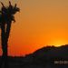 Profile Picture of Barry Brasher (@barrybrasher) on Pinterest