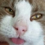 Profile Picture of riccardo morabito (@derkolossbozz) on Instagram