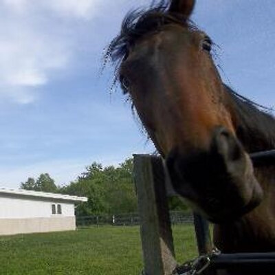 Profile Picture of Ronald Clift (@RonaldClift) on Twitter