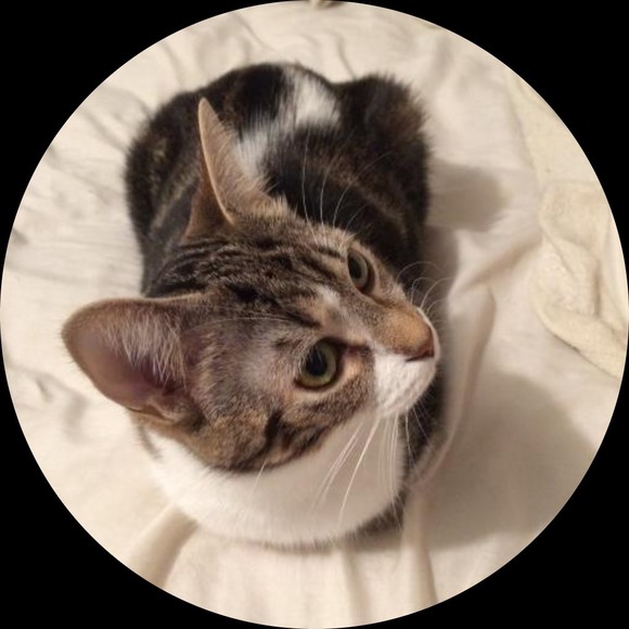 Profile Picture of Haley Lamont (@upintheheavens) on Poshmark