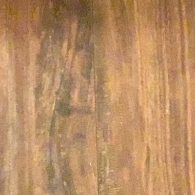 Profile Picture of Jonathan Showalter (@Jon_Showalter) on Twitter