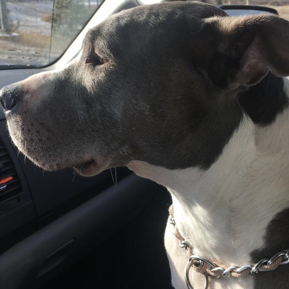 Profile Picture of Desire Aitken (@desireaitken) on Poshmark