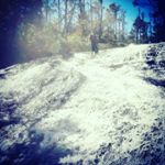 Profile Picture of Drew Cullen (@andrew4201) on Instagram