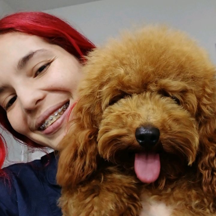 Profile Picture of stepha groomer (@stephygroomer) on Tiktok